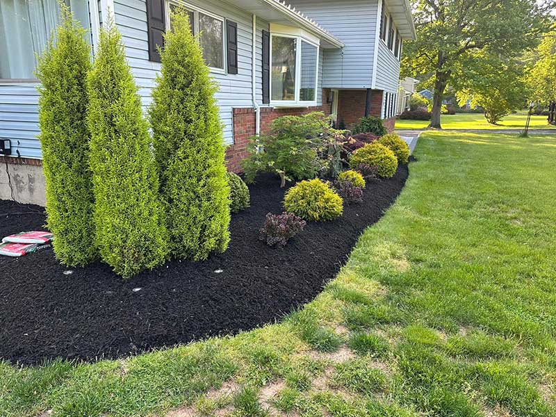 Mulch-&-Plants-Plainfield-NJ