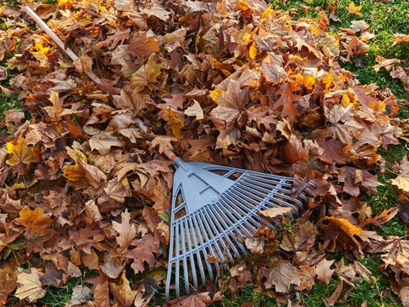 season-clean-up-Plainfield-NJ