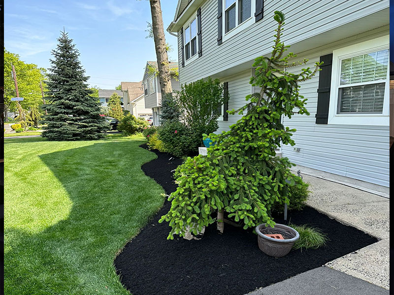 Mulch-&-Plants-services